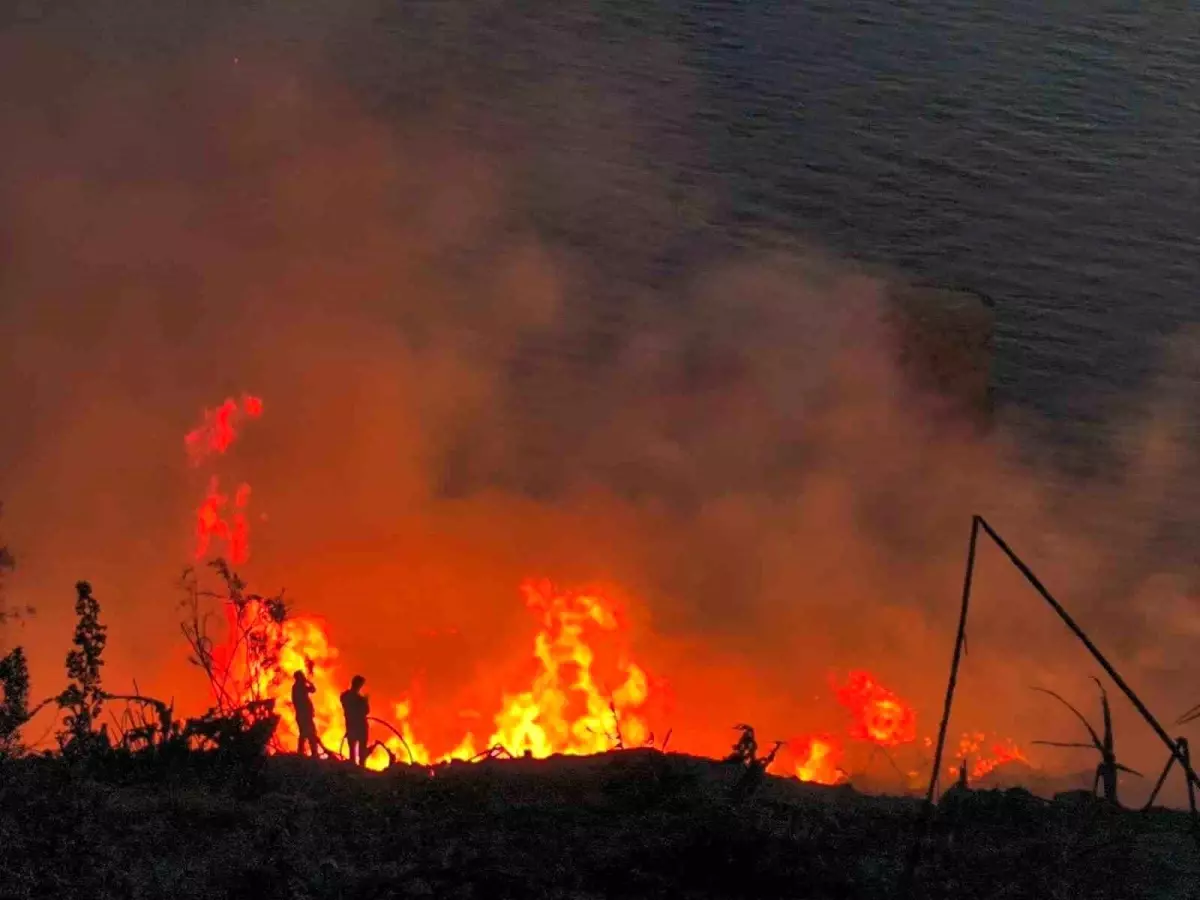 Antalya\'da Muz Bahçesinde Yangın Kontrol Altına Alındı