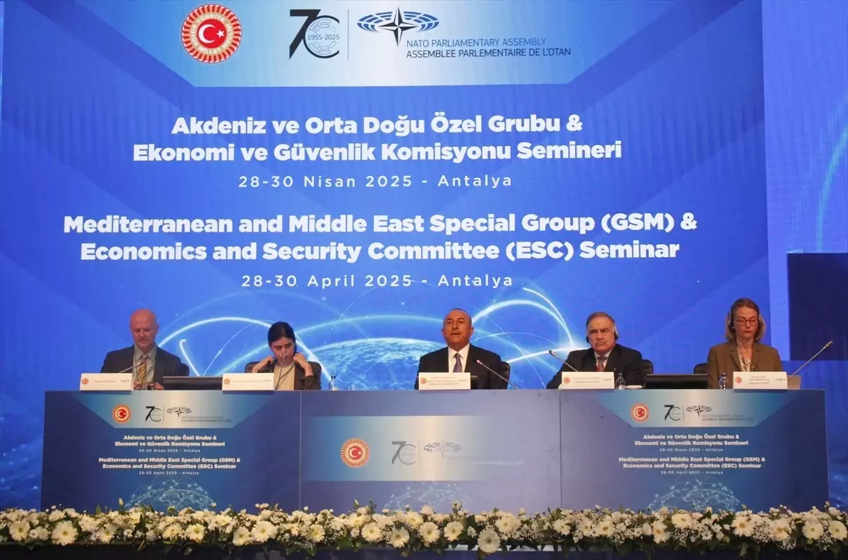 NATO PA Toplantısı Antalya\'da Başladı