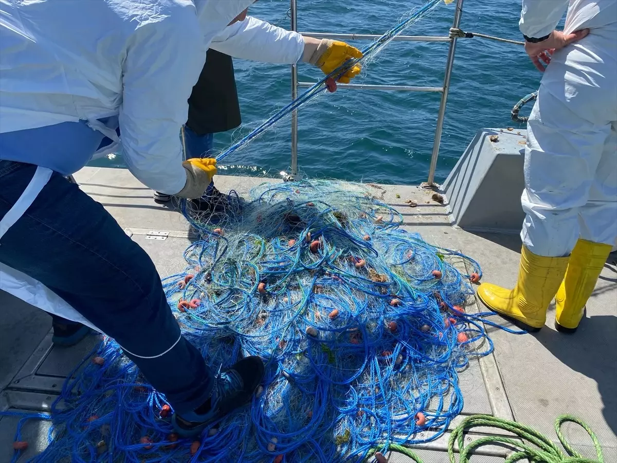 Ordu\'da Kaçak Kalkan Ağı Ele Geçirildi