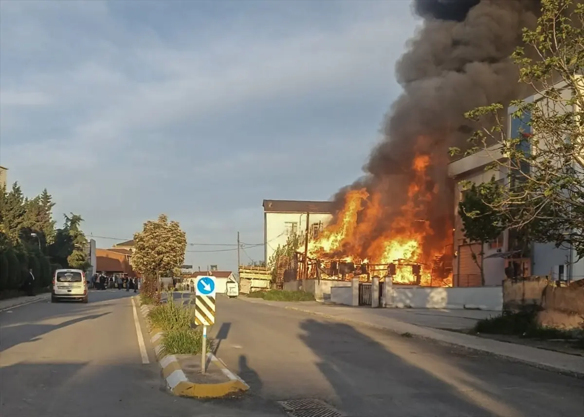 Pendik\'te Palet Fabrikasında Yangın