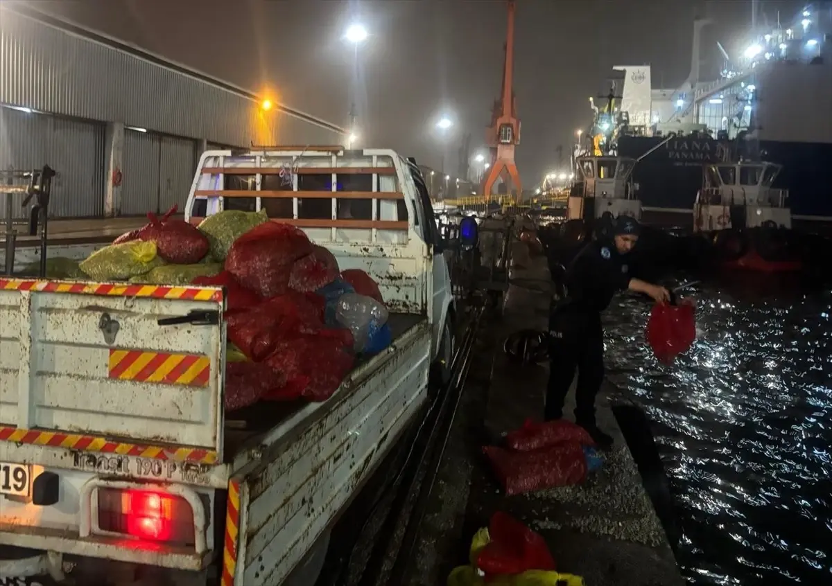 Çarşamba\'da Kaçak Midye Operasyonu