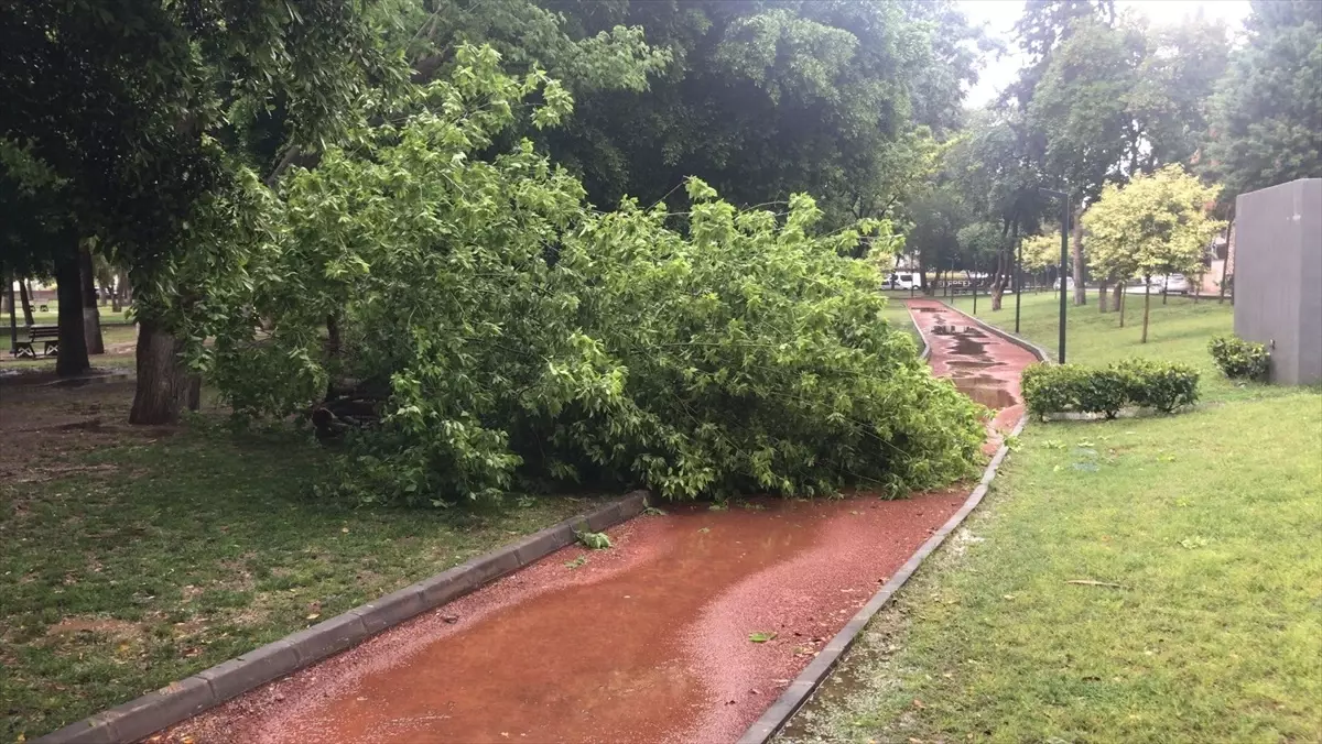 Tarsus\'ta Sağanak ve Fırtına Etkili Oldu