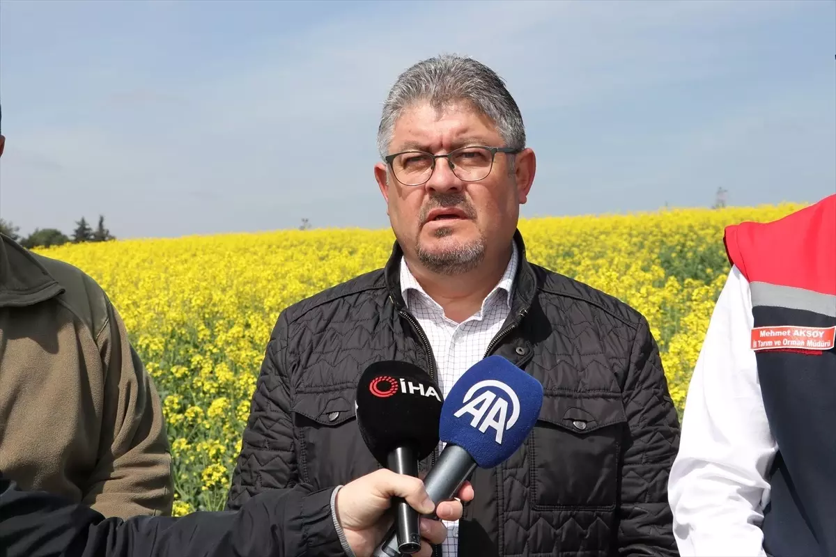 Arıcılar için ilaçlama uyarısı
