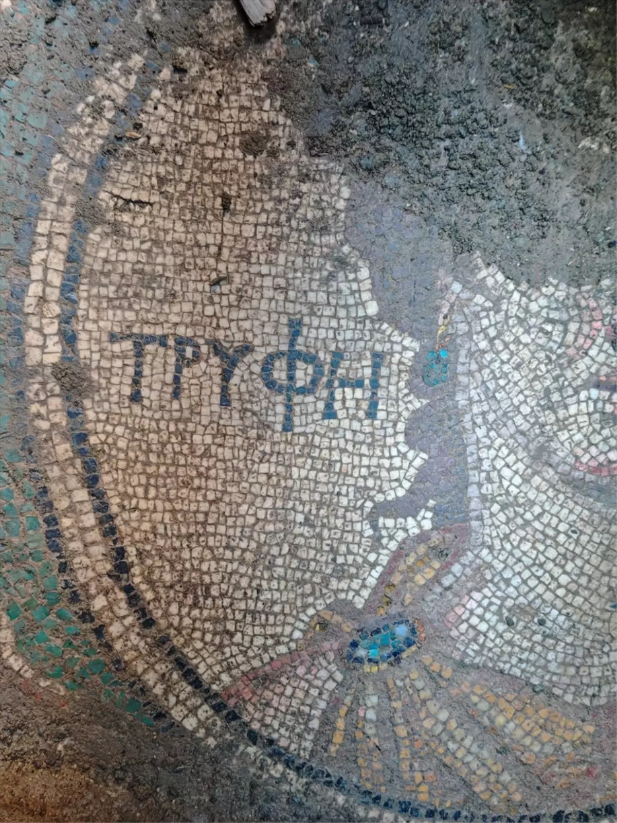 Zile\'de Kaçak Kazıda Roma Mozaiği Bulundu