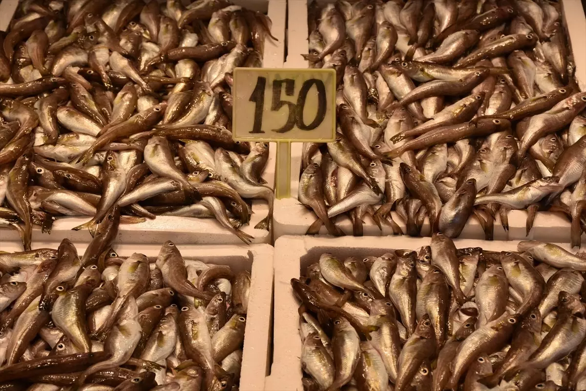 Trabzon\'da Balık Fiyatları