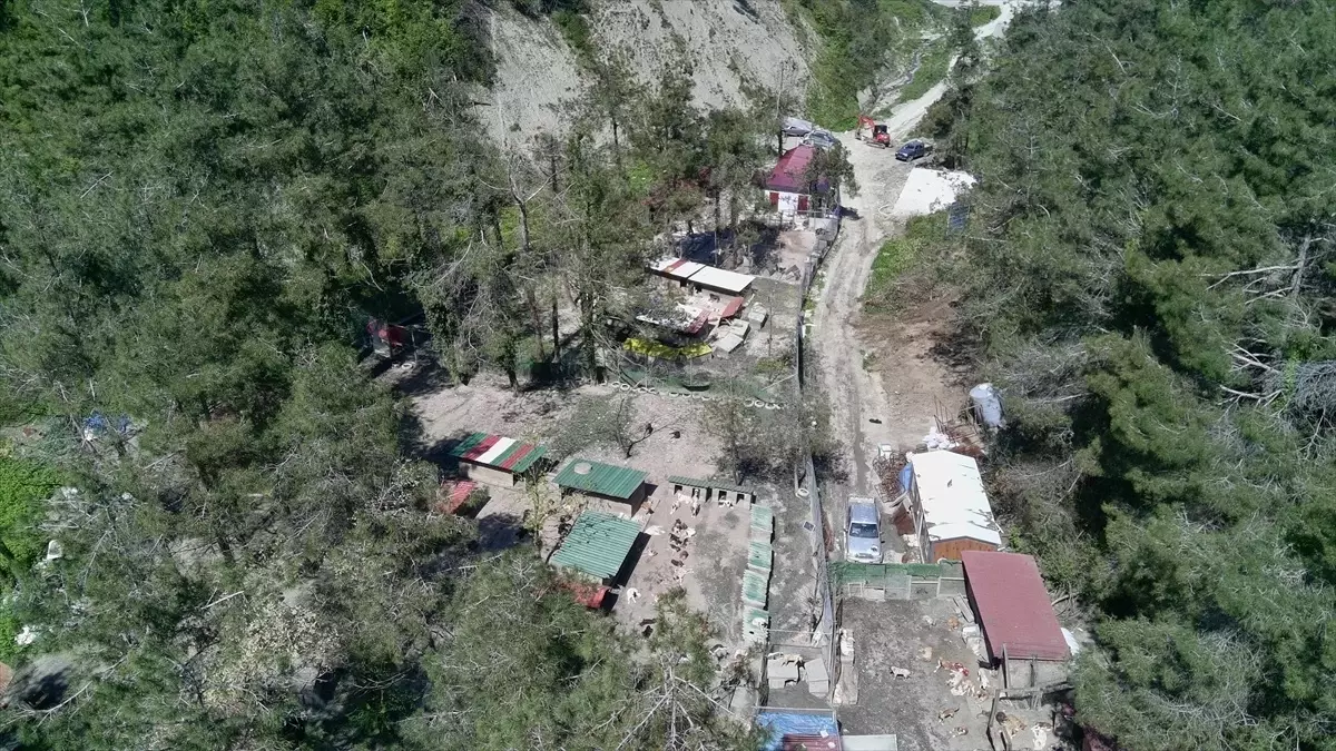 Türkeli Hayvan Rehabilitasyon Evi\'nin Kapasitesi Artıyor
