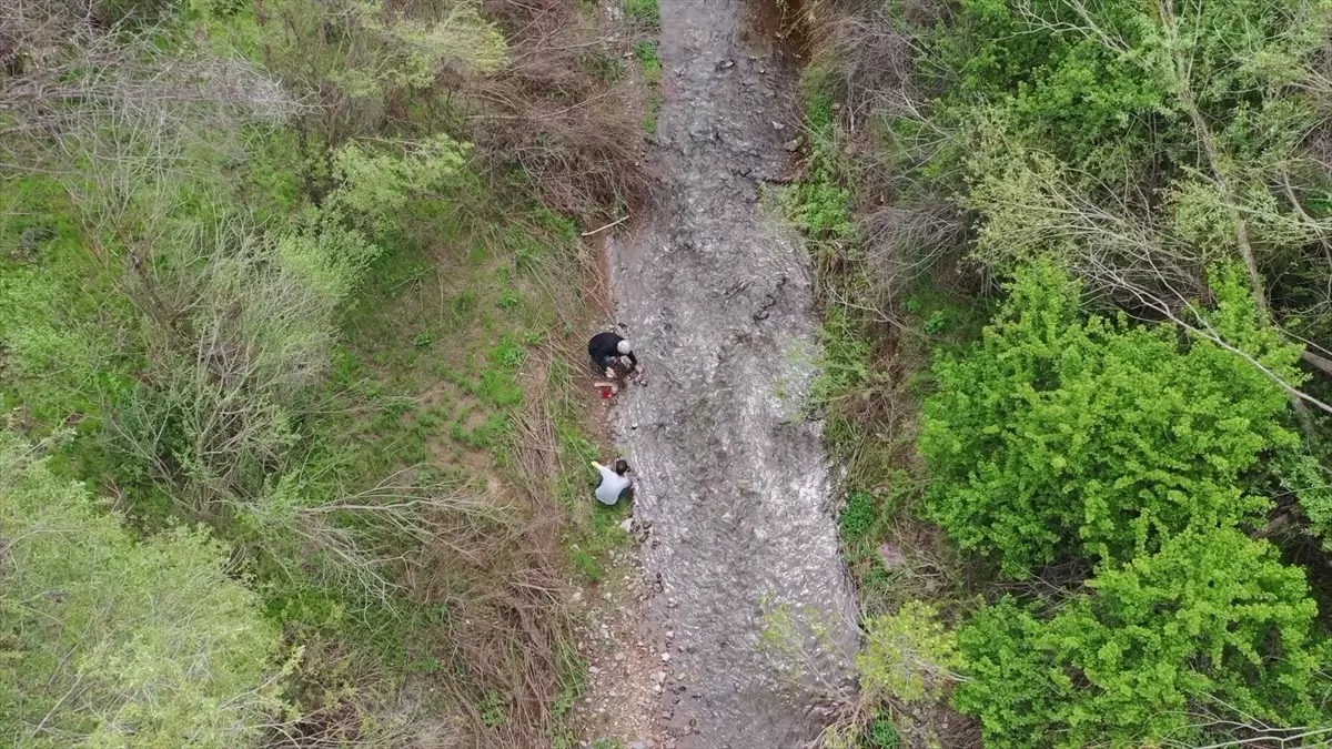 Yeni Sülük Türleri Keşfedildi