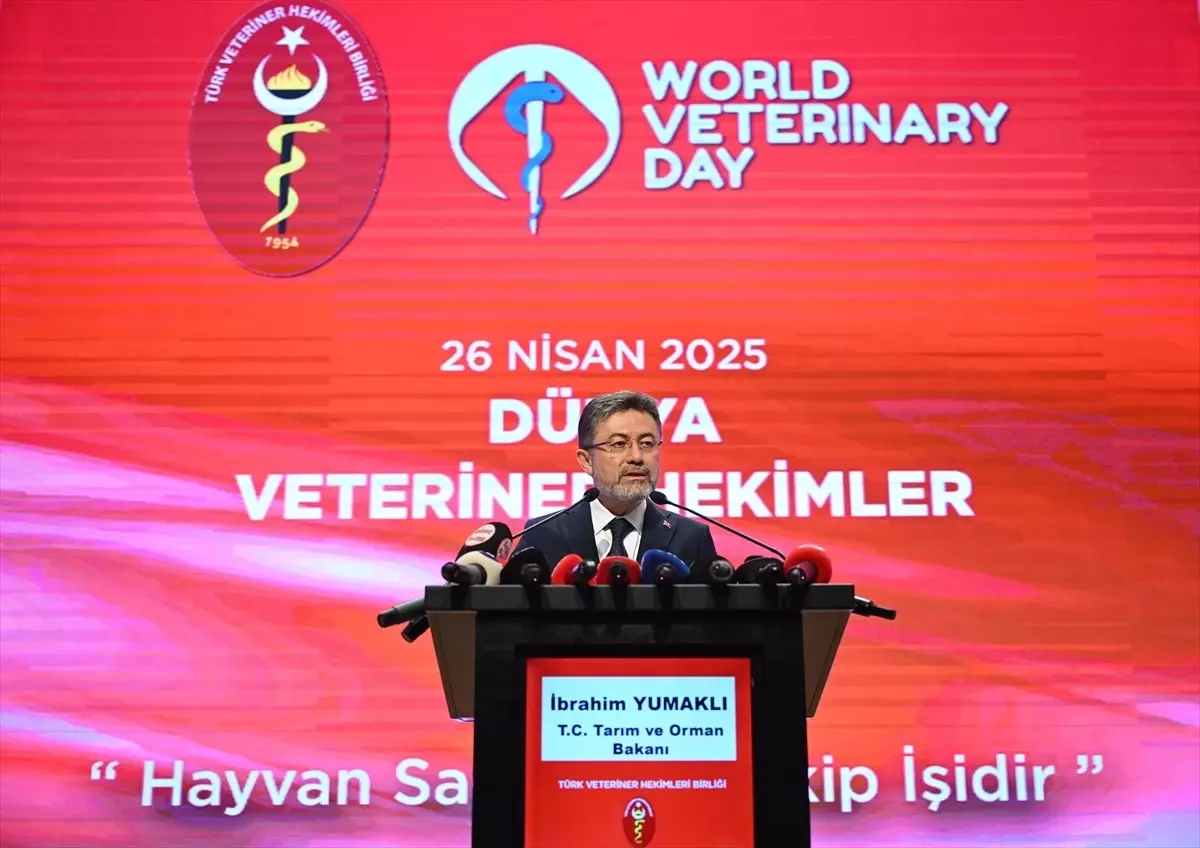 Veteriner hekimler, sahipsiz köpek sorununun çözümünde daha fazla görev üstlenecek