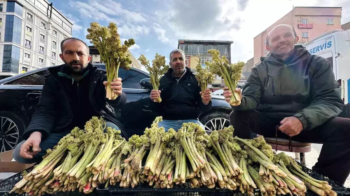 Yüksekova\'da \'Yayla Muzu\' 100 TL\'den Satışta