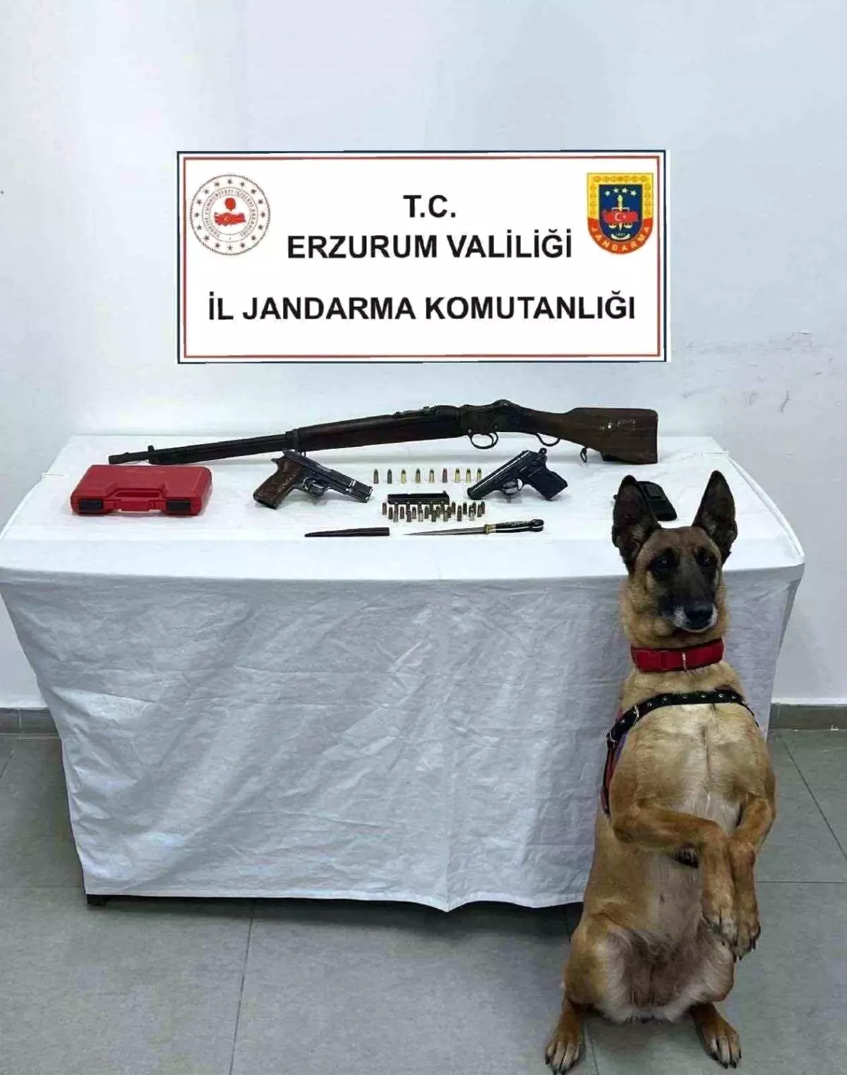 Erzurum\'da Kaçak Silah Operasyonu