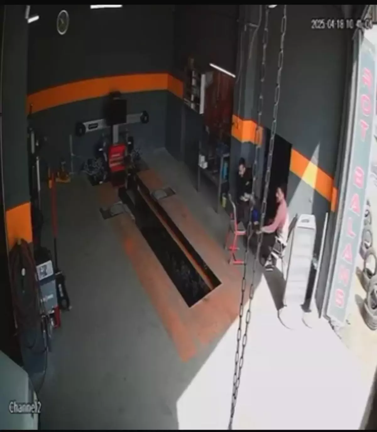 Kedi Raylı Krikoya Düştü, Kurtarıldı