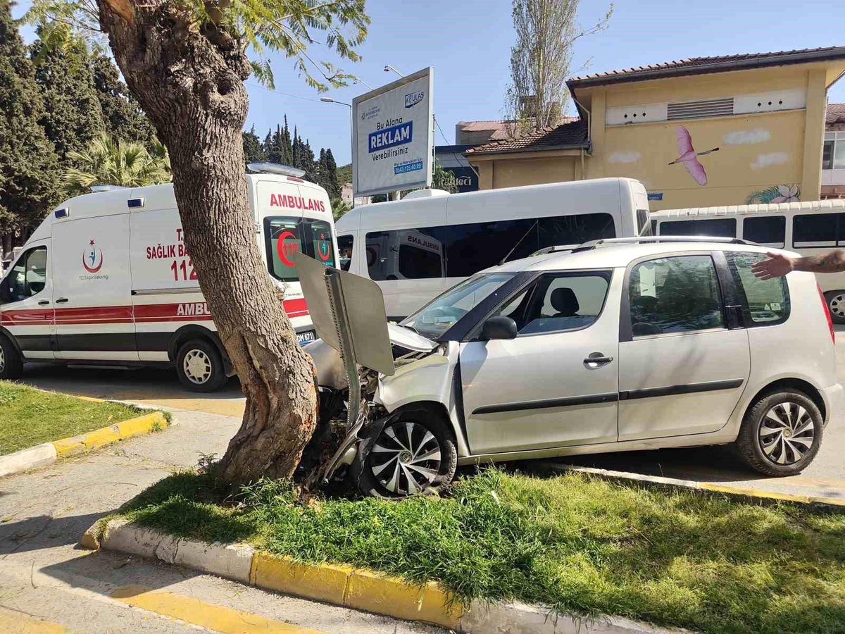 Kuşadası\'nda kaza: 80 yaşındaki sürücü ağaca çarptı