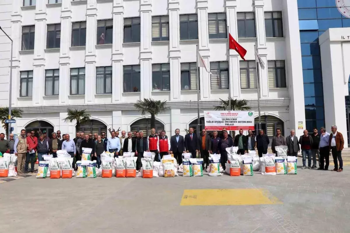 Yalova\'da Çiftçilere Ayçiçeği Tohumu Dağıtıldı