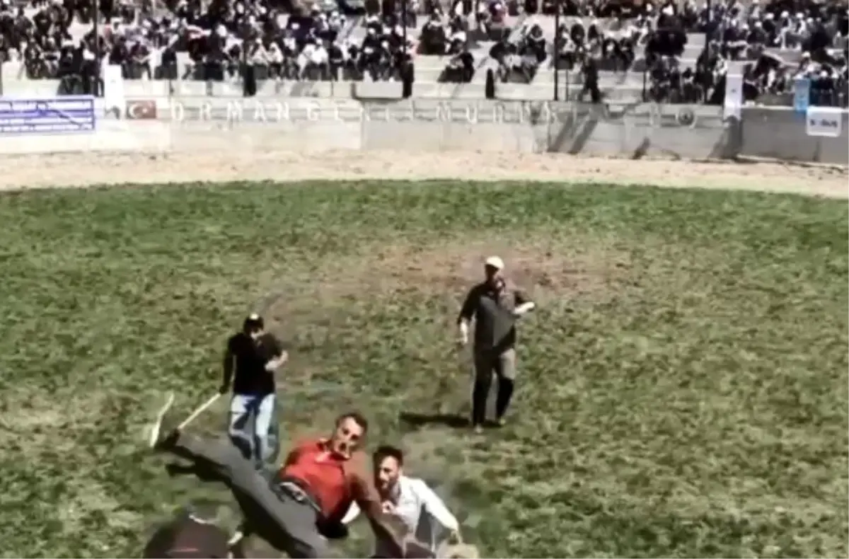 Boğa Güreşlerinde Bakıcı Yaralandı
