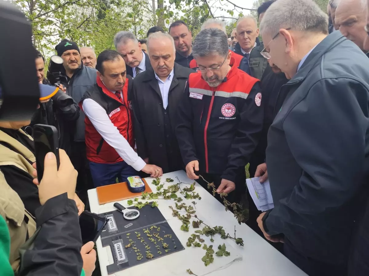 Bakan Yumaklı\'dan Zirai Don Açıklaması