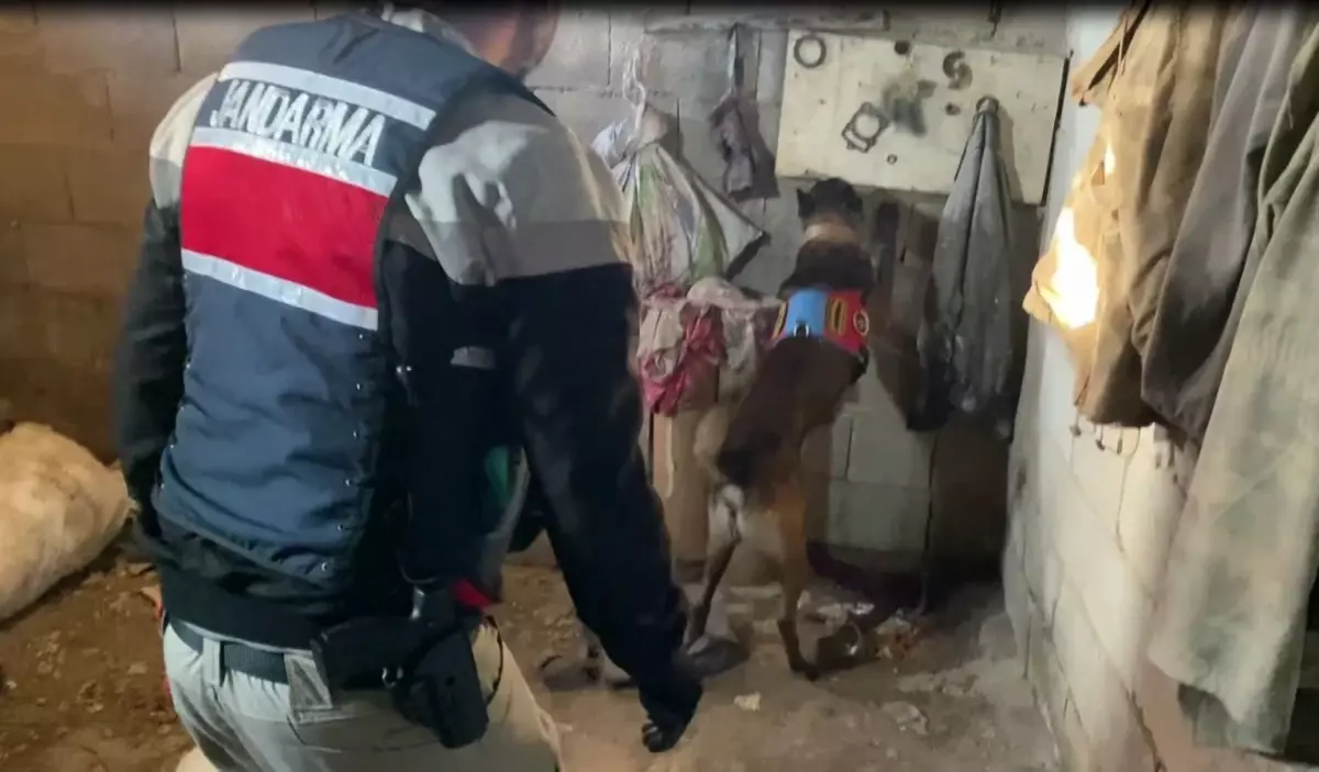 Gaziantep\'te Organize Suç Operasyonu