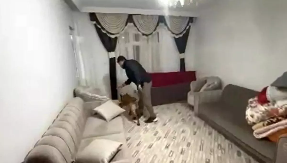 Gaziantep\'te Uyuşturucu Operasyonu