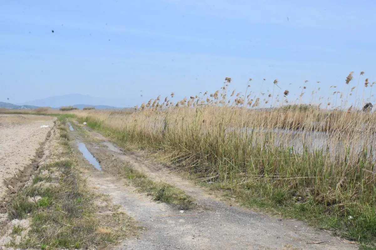 Gediz Nehri\'nde Kuraklık ve Kirlilik Krizi