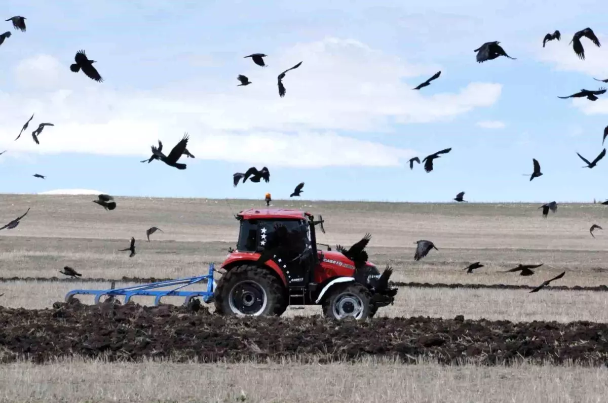 Kars\'ta Tarım Sezonu Açıldı