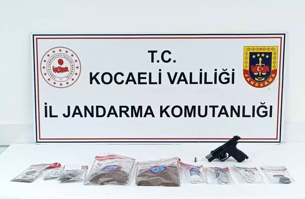Darıca\'da Operasyon: Bonzai ve Tabanca Ele Geçirildi