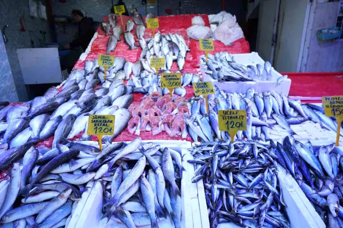 Samsun\'da Soğuk Hava Balıkçılara Yarar Sağladı