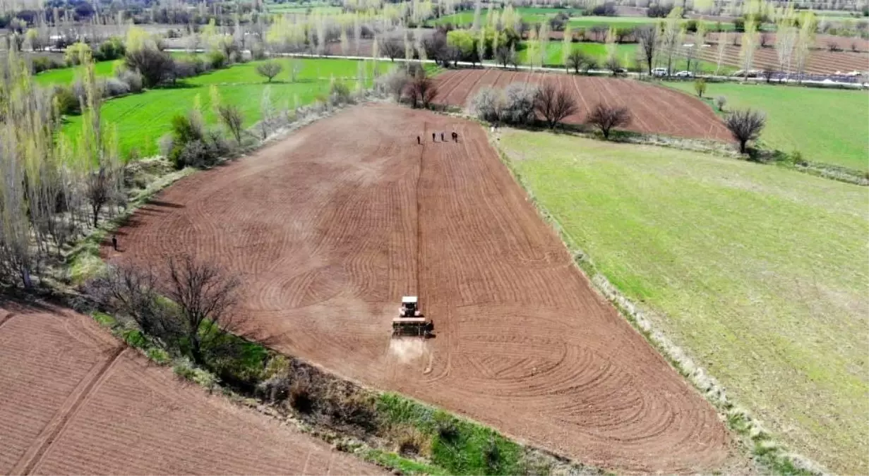 Tarım Girdi Fiyatları Yükseliyor