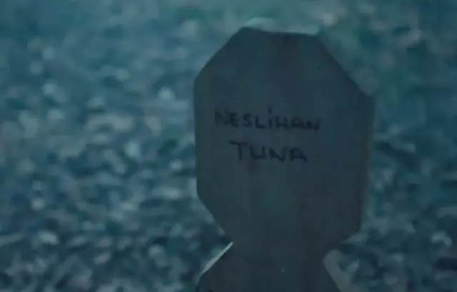 Teşkilat dizisinden çıkarılan Aybüke Pusat'ın sonu böyle oldu