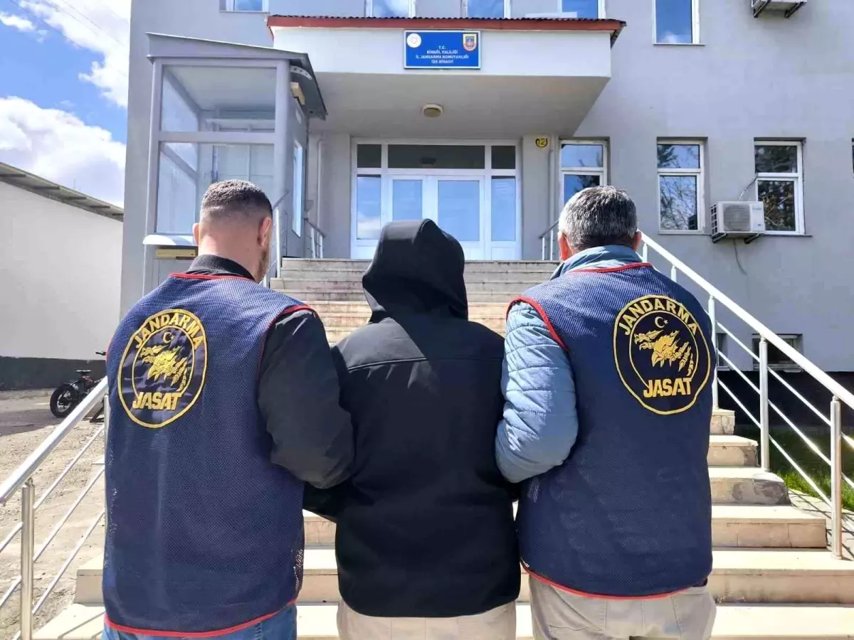 Bingöl\'de 2 Şüpheli Yakalandı, Kenevir Ele Geçirildi