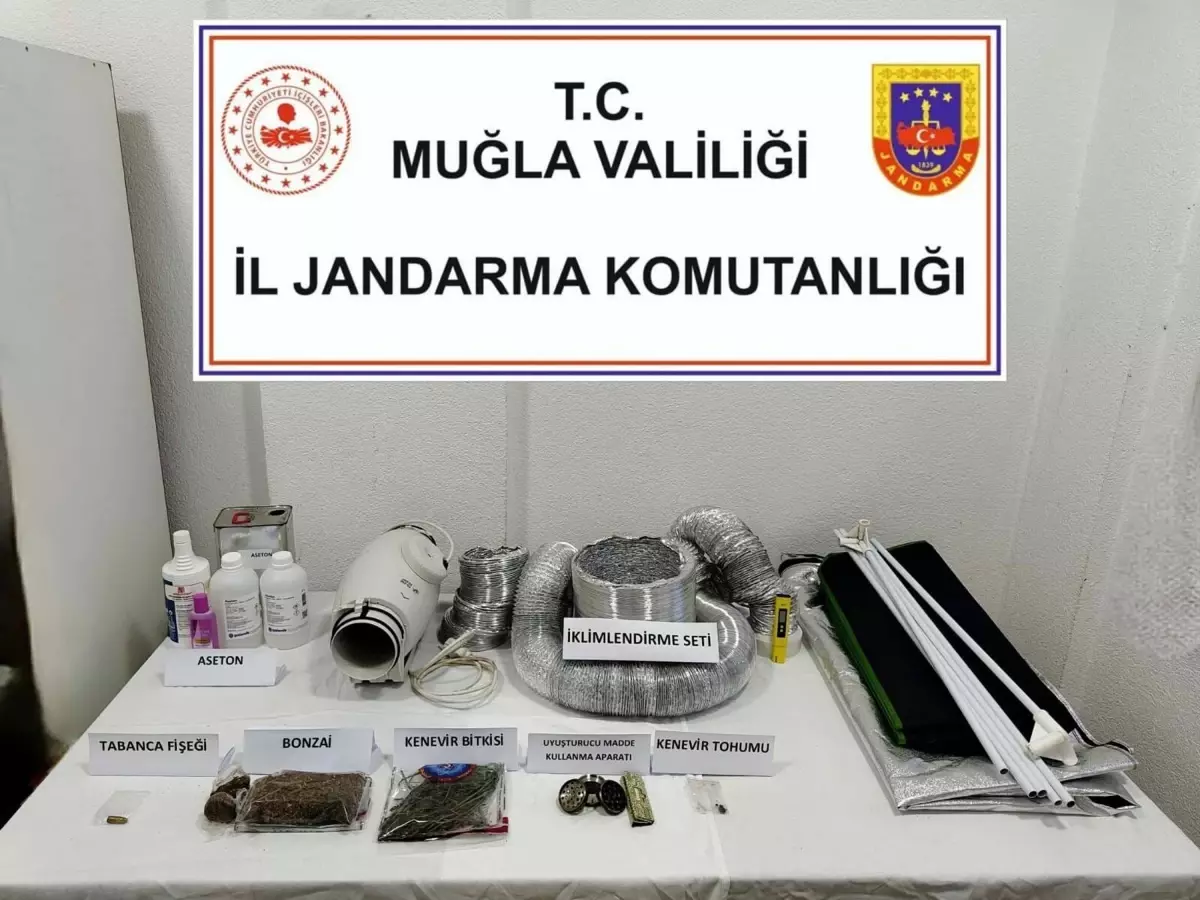 Bodrum\'da Uyuşturucu Operasyonu: Bir Gözaltı