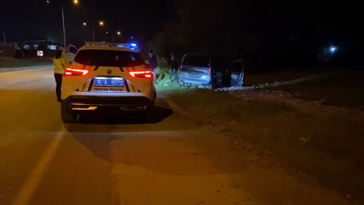 İnegöl\'de Sokak Köpeğine Çarpan Sürücü Yaralandı