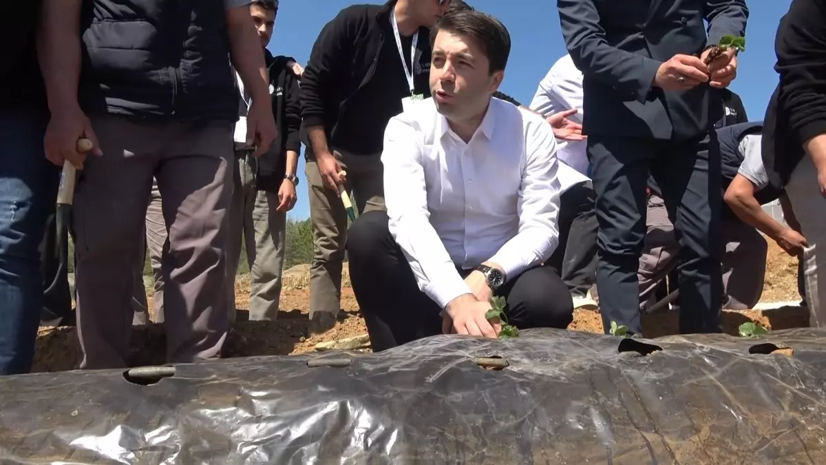 Gençler İçin Tarımda Girişimcilik Programı Başladı