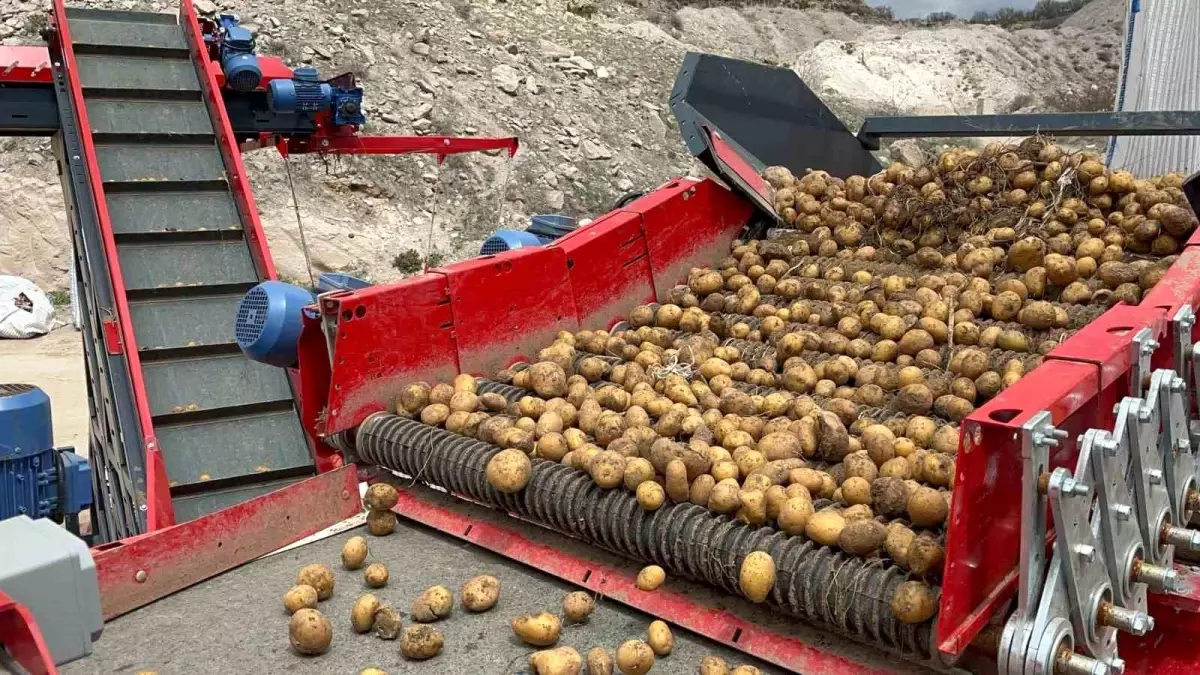 Nevşehir\'den Tohumluk Patates Sevkiyatı