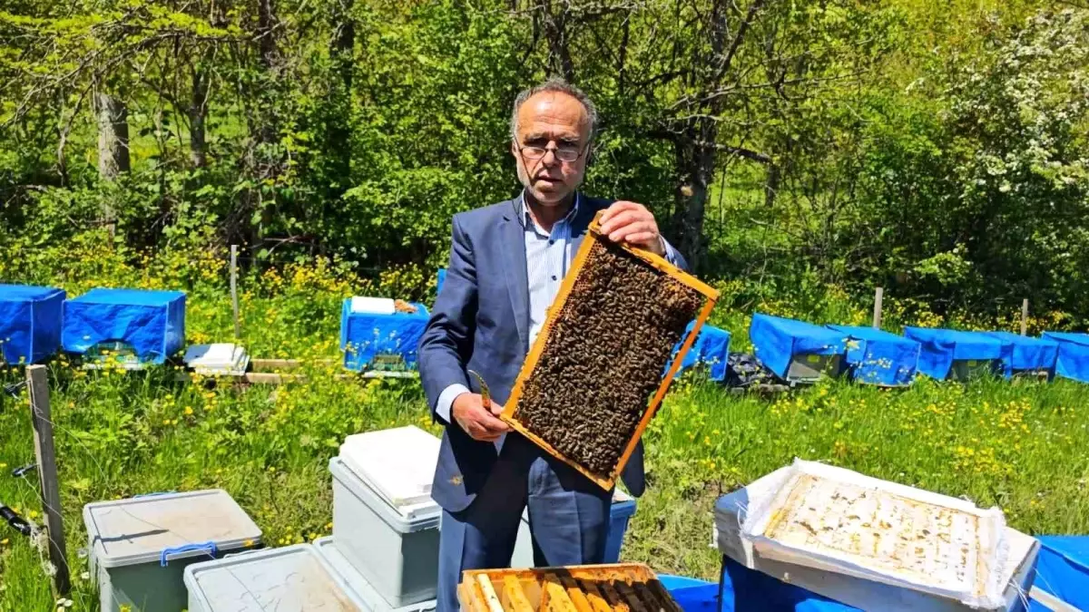 Artvin\'de Arıcılık Don Dalgasından Etkilendi