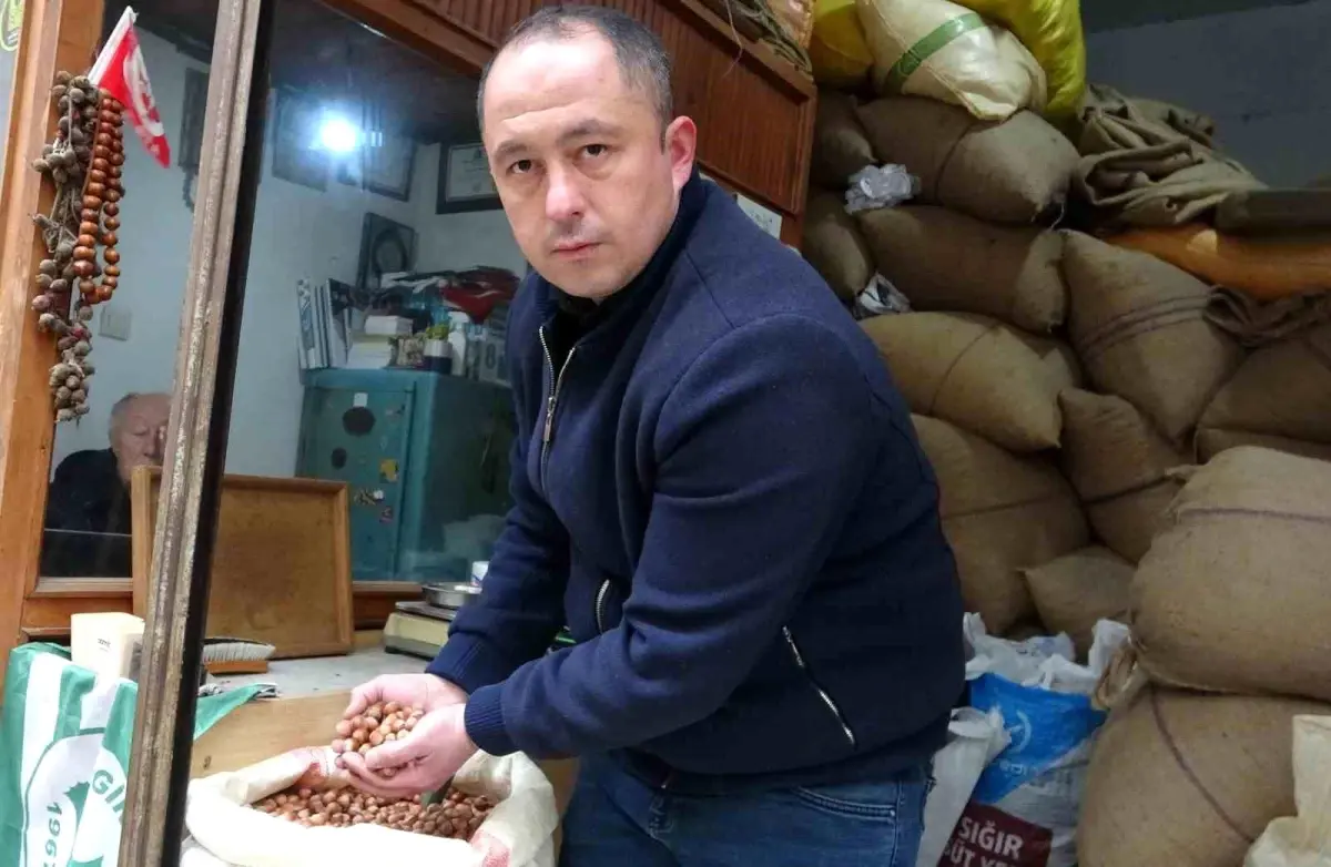 Fındık Fiyatları Rekor Kırdı