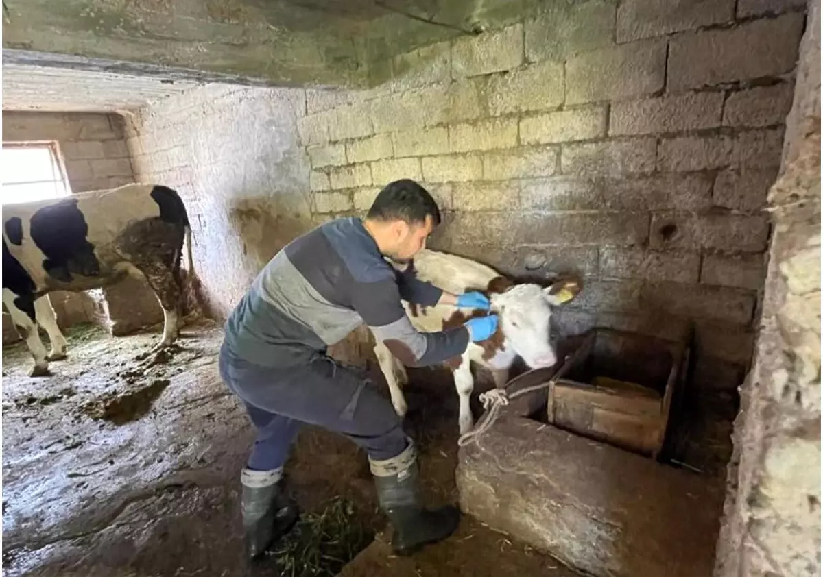 Gazipaşa\'da Gıda Güvenliği Denetimleri