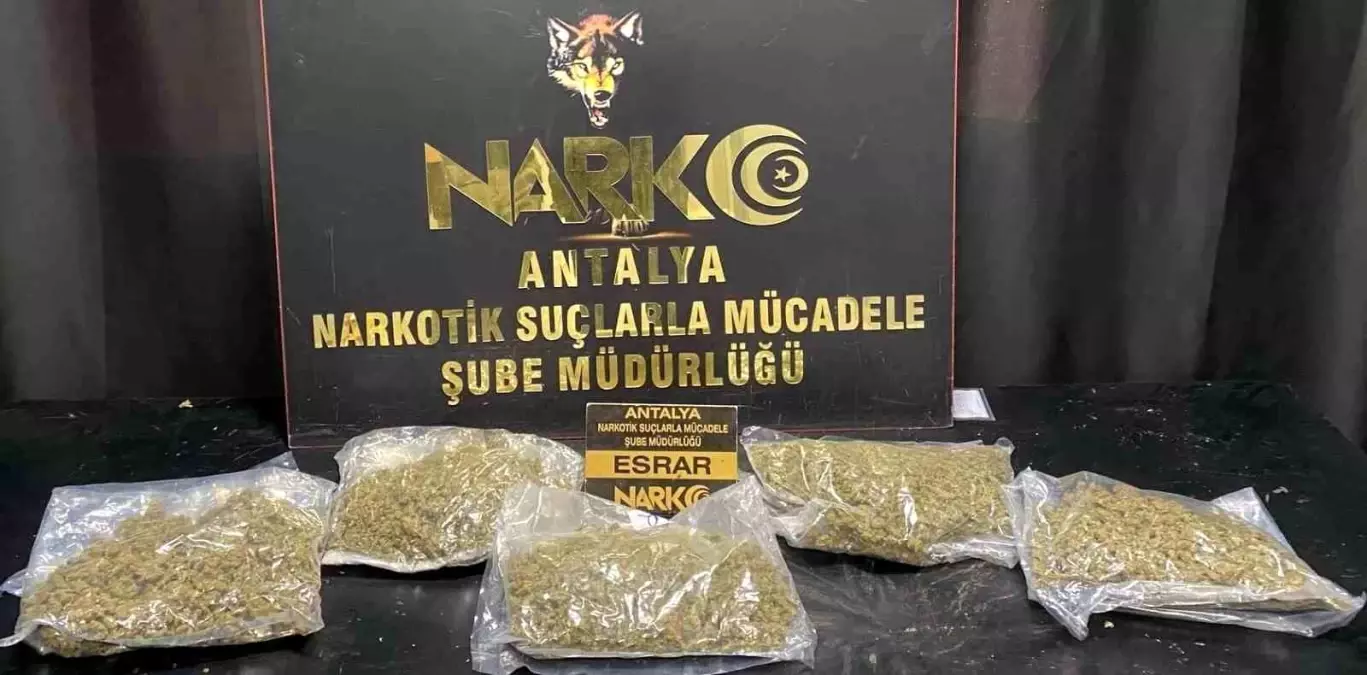 Antalya\'da Uyuşturucu Operasyonu: 118 Gözaltı