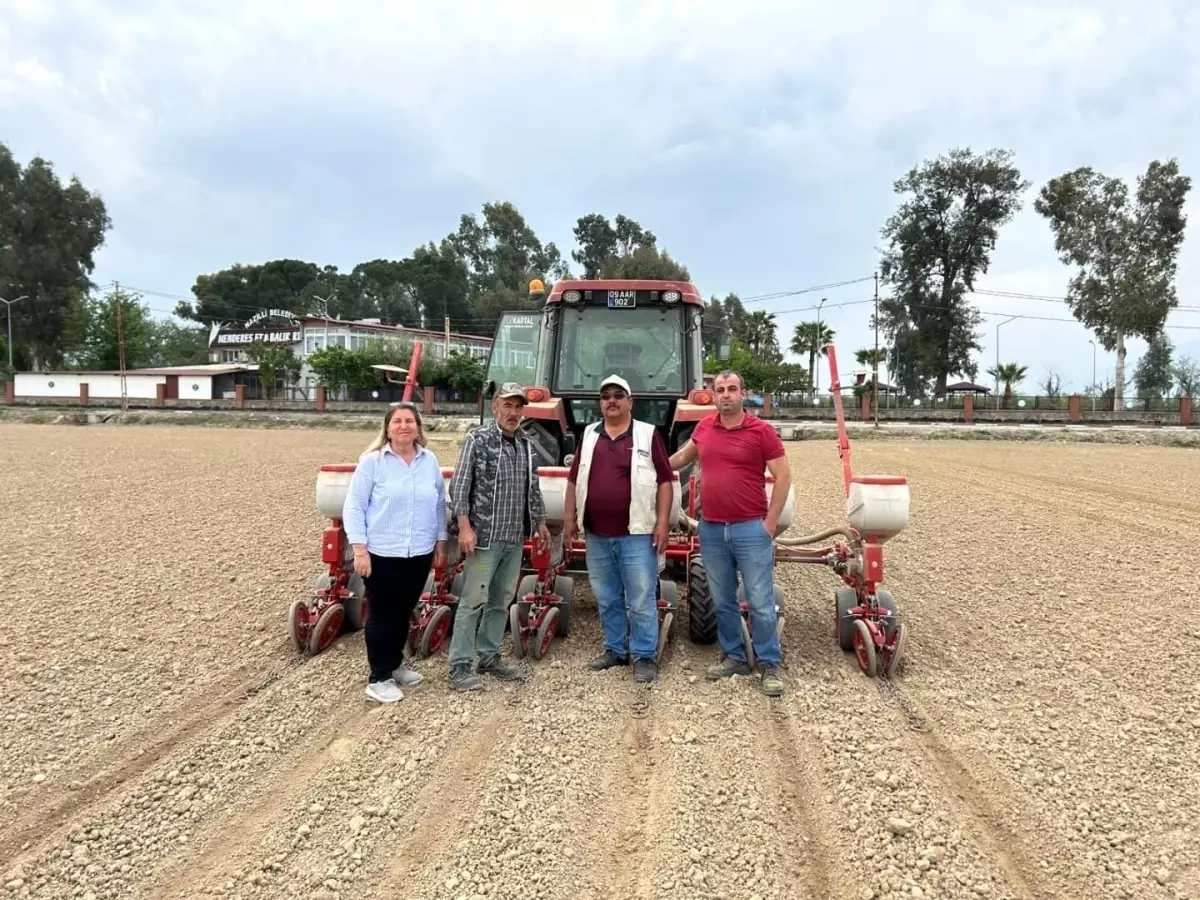 2025 Pamuk Üretim Sezonu Başladı