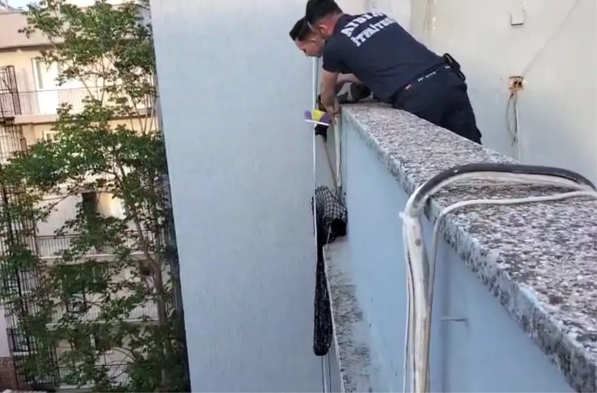 Mahsur Kedi İtfaiye ile Kurtarıldı