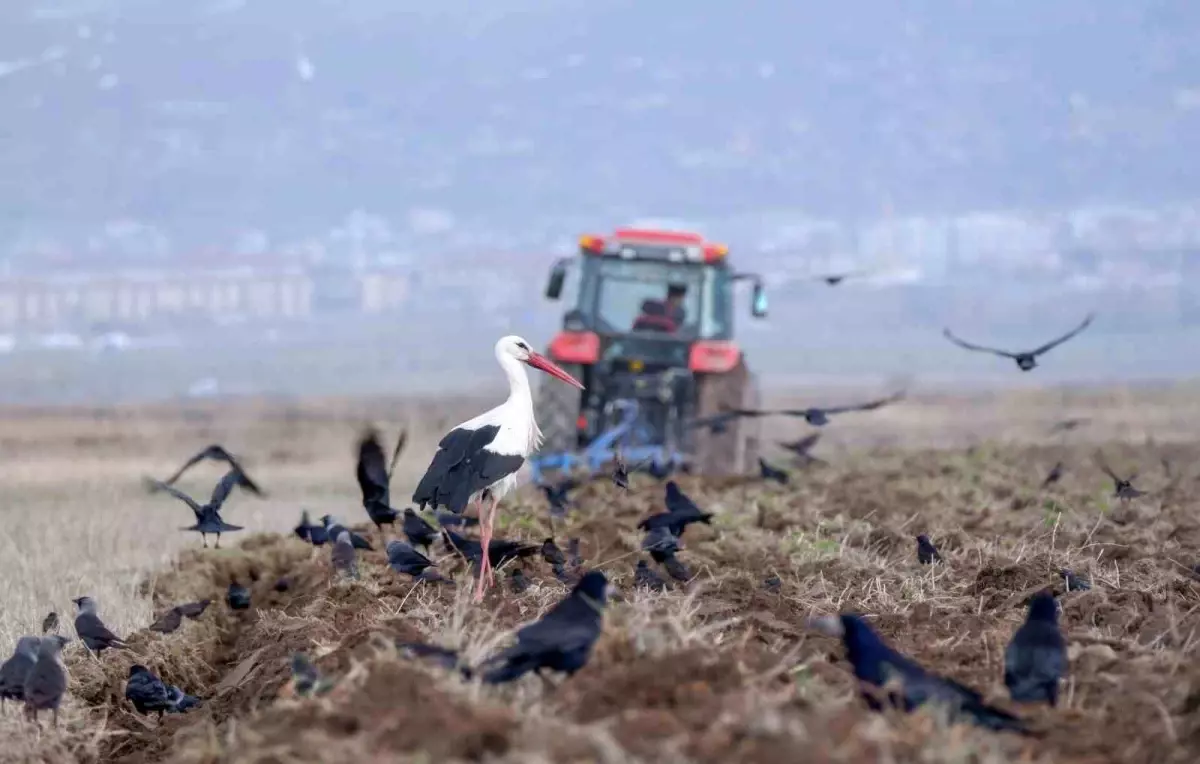 Mart\'ta 195 Bin Taşıt Trafiğe Kaydedildi