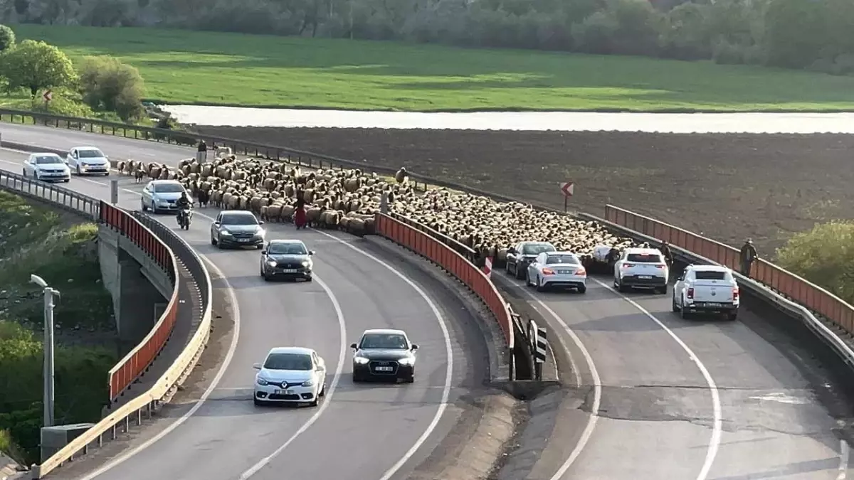 Şırnak\'ta Göçerler Faraşin Yaylası\'na Yola Çıktı