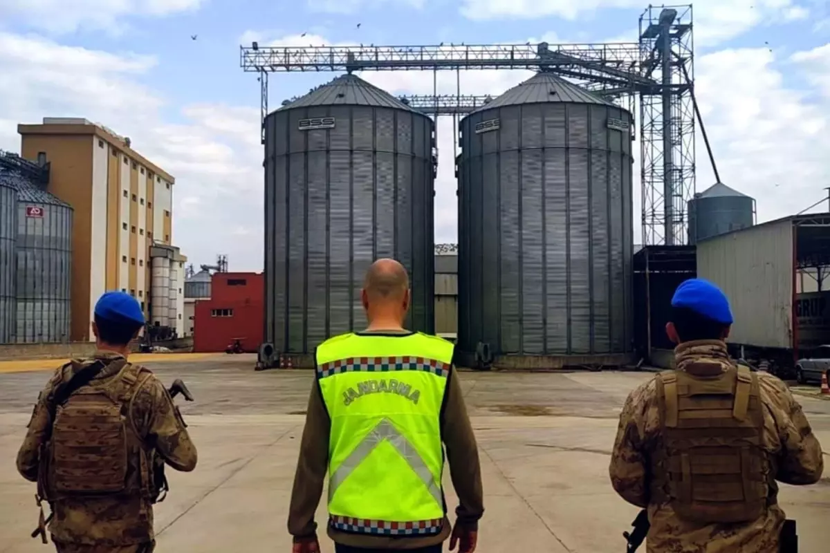 Mardin\'de 40 bin tonluk hububat vurgununda 9 tutuklama