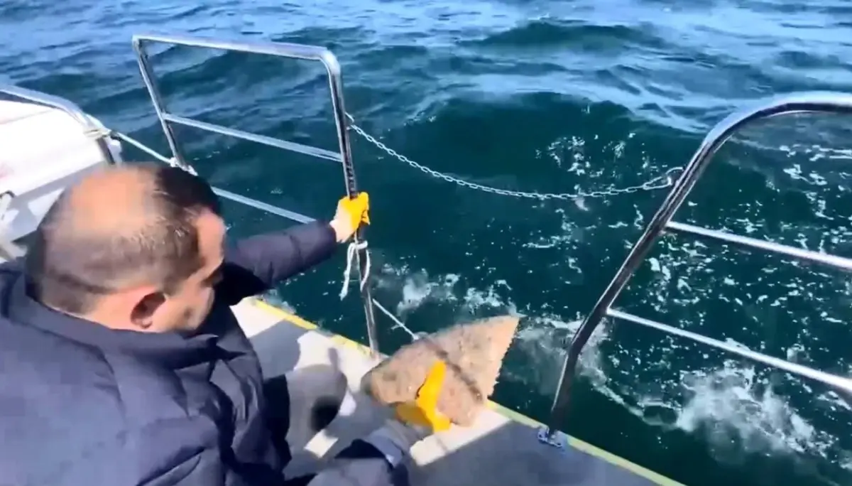 Ordu\'da Kalkan Ağına El Konuldu