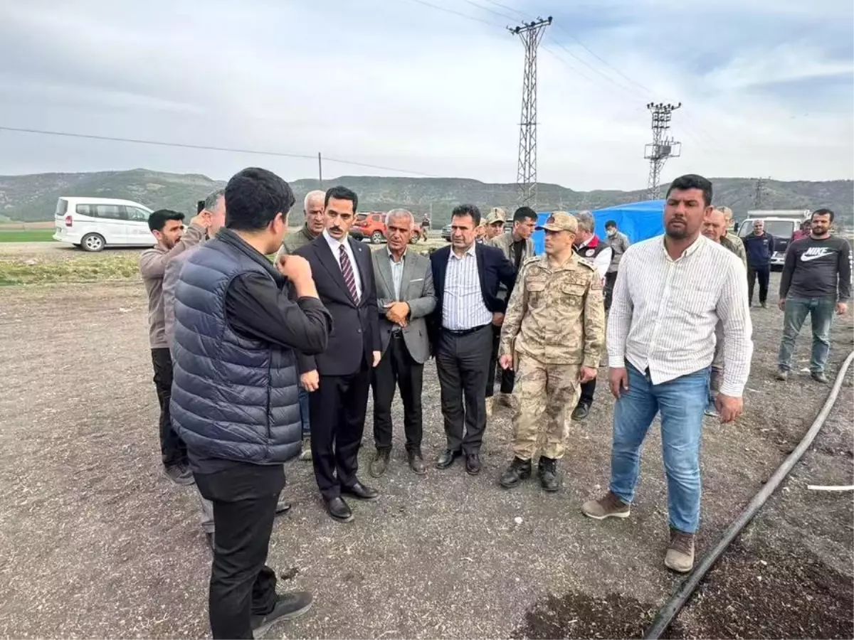 Çin ve Türkiye\'den Acı Biber İşbirliği