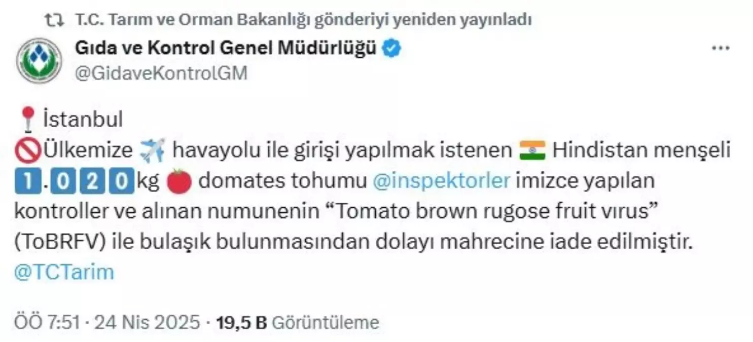 Virüslü Domates Tohumu İade Edildi