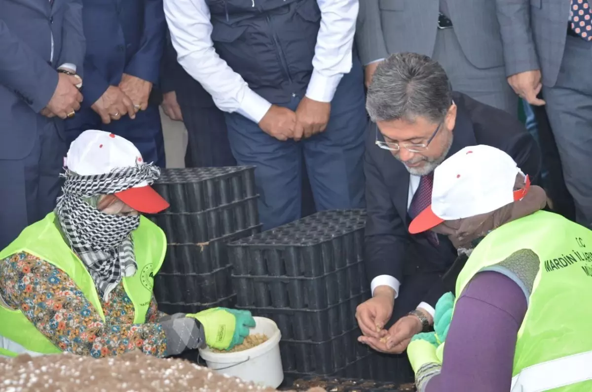 Mardin\'de Tuz Çalısı Projeleri