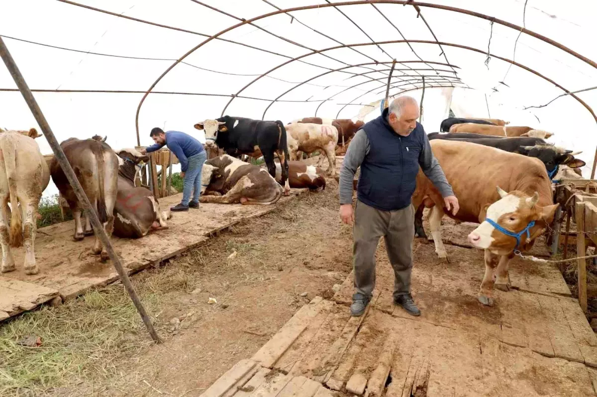 Başiskele\'de Kurban Bayramı İçin Hazırlıklar Tamamlandı