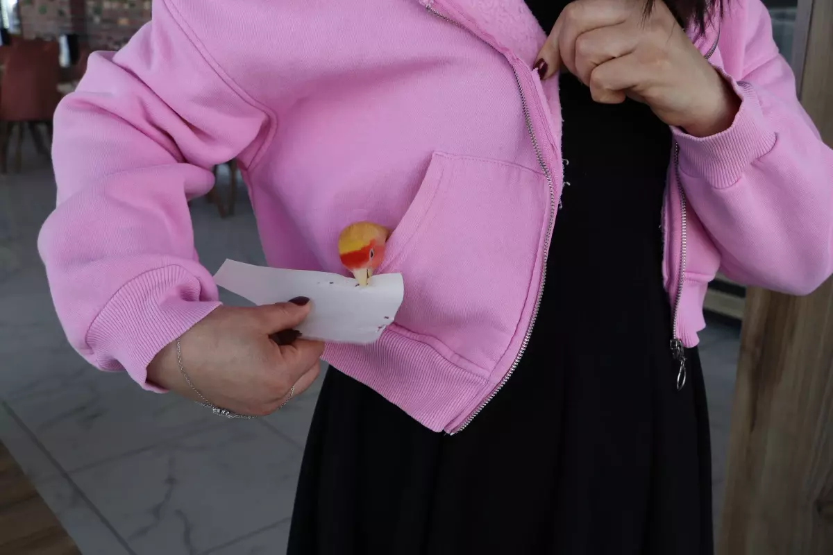 Papağan Limon\'un Sevimli Hikayesi