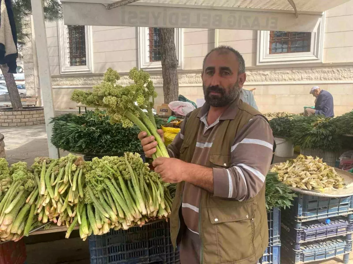 Elazığ\'da Işkın Sezonu Başladı