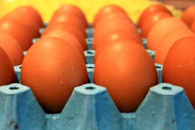 Yumurta satışlarında yeni düzenleme için hazırlık yapılıyor