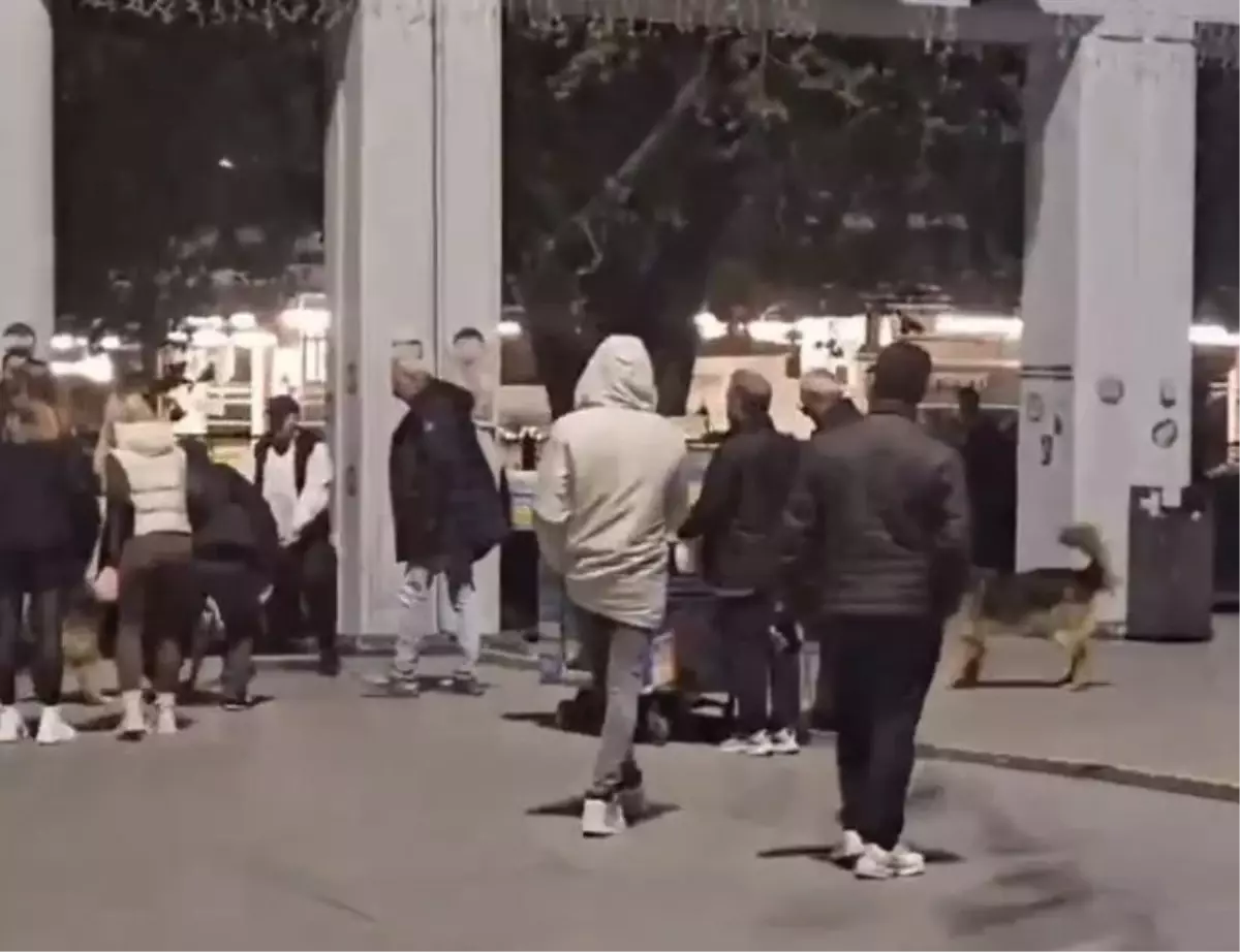 Bakırköy\'de Pitbull Saldırısı: Sahibe Ceza